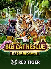 big-cat-rescue-megaways